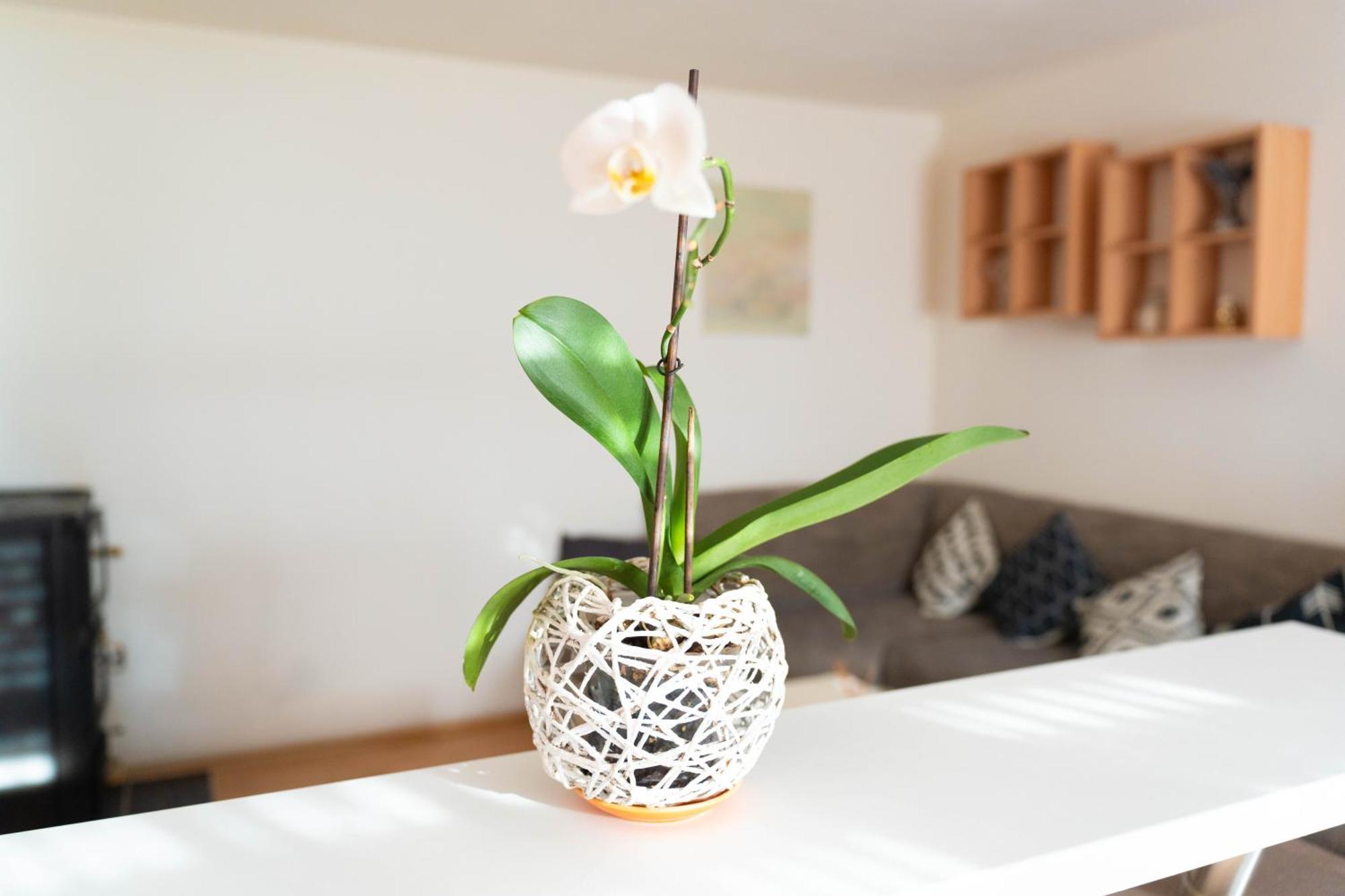 Apartman Lili Knin Esterno foto